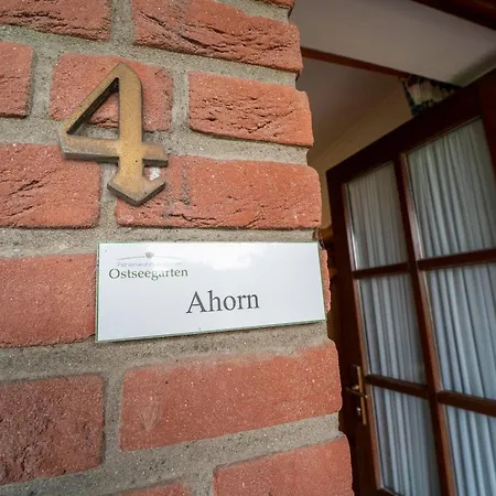 Ostseegarten Ahorn * Kellenhusen