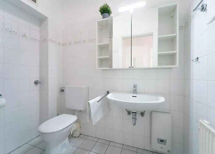 Ostseegarten Ahorn *